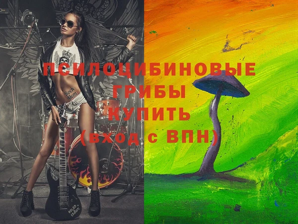 спайс Пролетарск