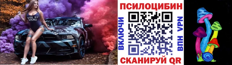 Псилоцибиновые грибы Psilocybine cubensis  наркота  ОМГ ОМГ зеркало  Холм 